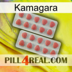 Kamagara 19